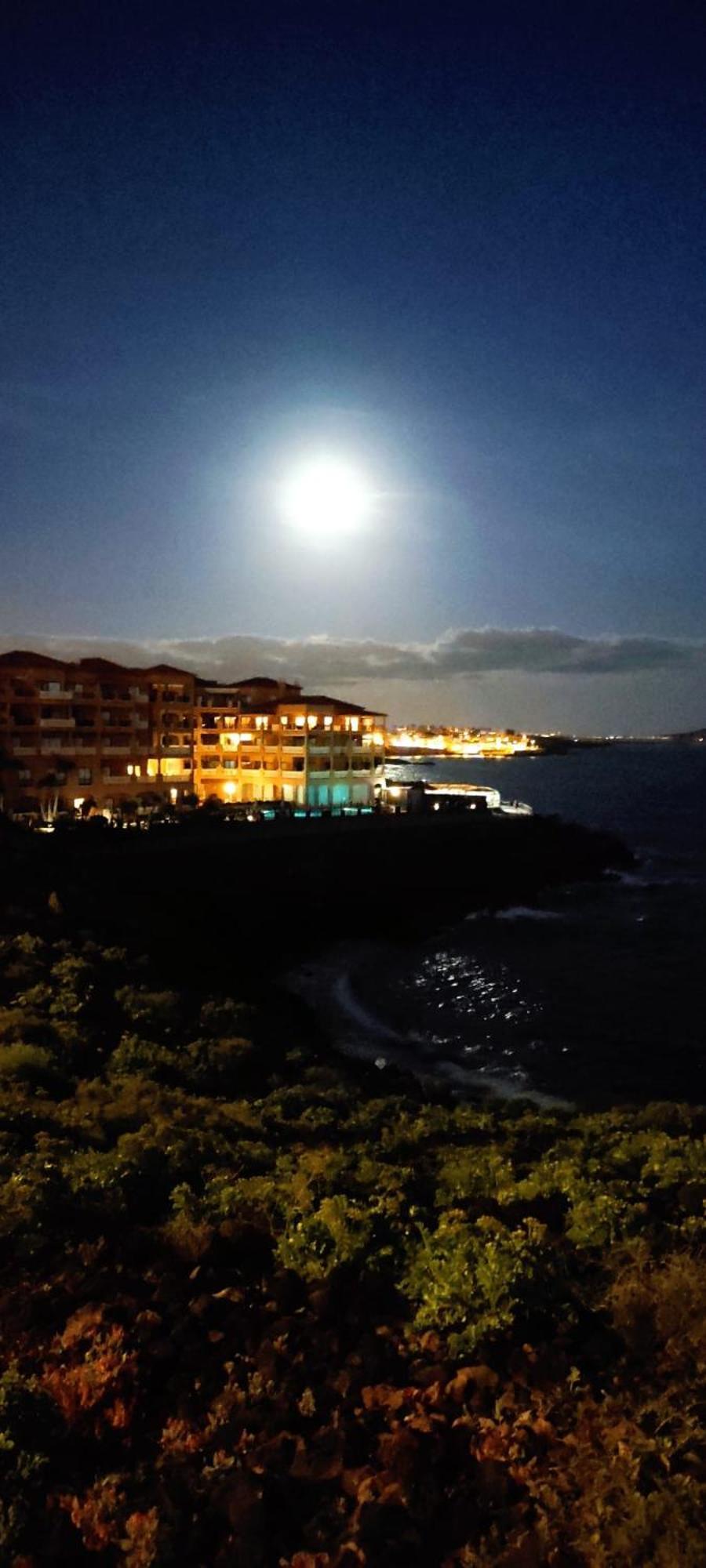 Tamaragua Apartment, Golf Del Sur San Miguel de Abona Exteriör bild